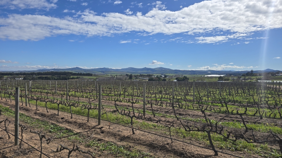 Commercial Property for Sale in Stellenbosch Farms Western Cape
